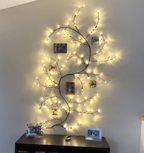 Liora | Willow Vine Wall Sconce